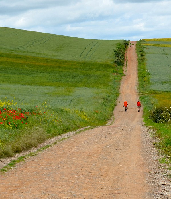 Walking the Camino