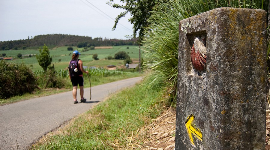 Walking on the Camino (Photo by Jesús Pérez Pacheco on Flickr)