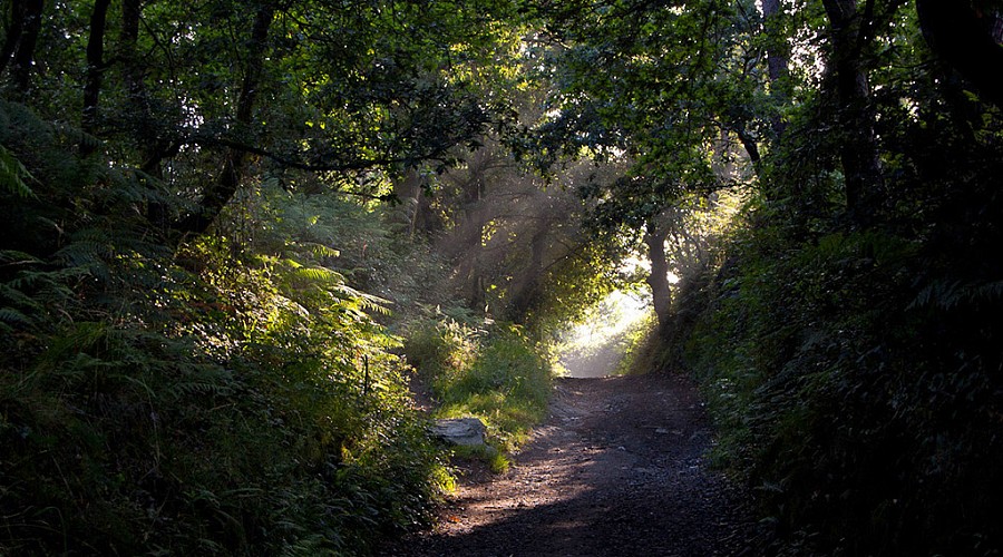 En route to Palas de Rei (Photo by Jesús Pérez Pacheco on Flickr)