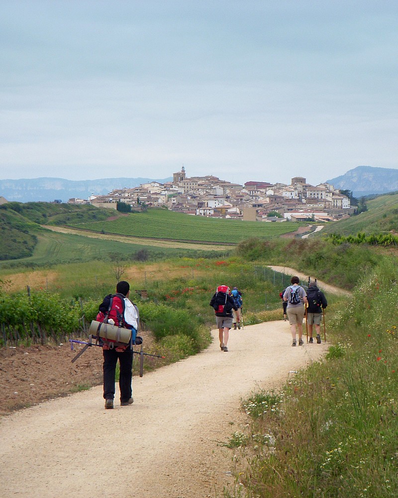 Group on The Camino de Santiago