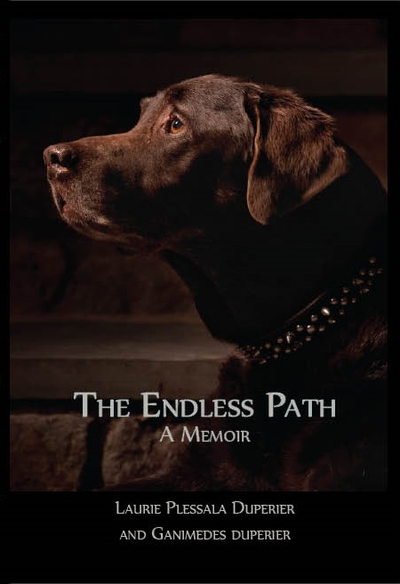 The Endless Path