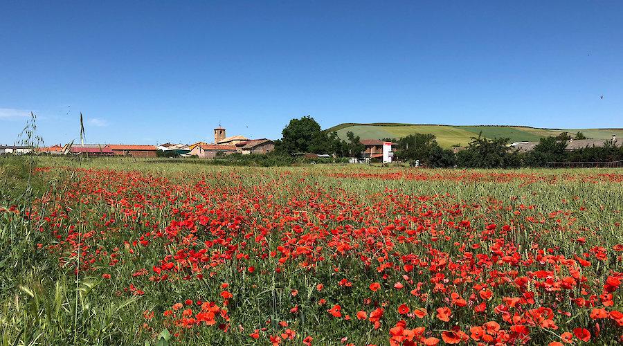 Viloria de Rioja