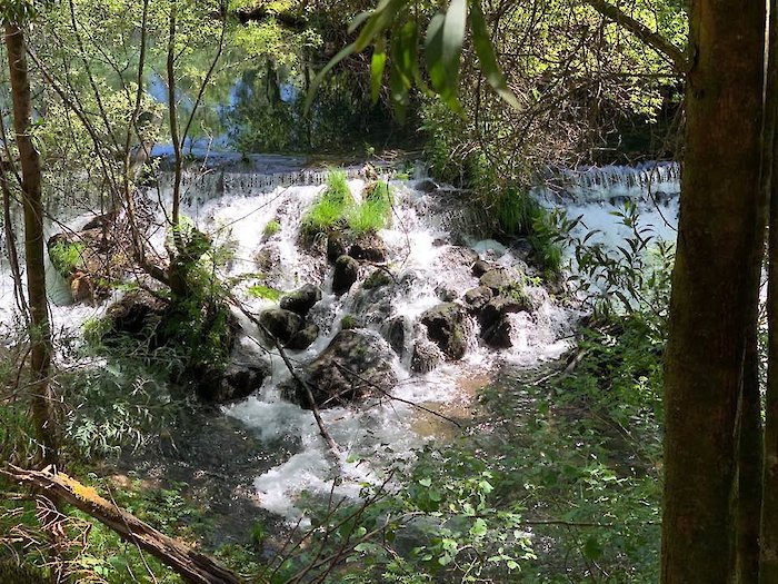 Waterfall on the Portuguese Way